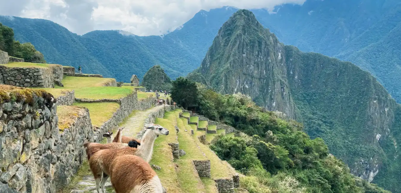 Machu Picchu from the Inca Trail