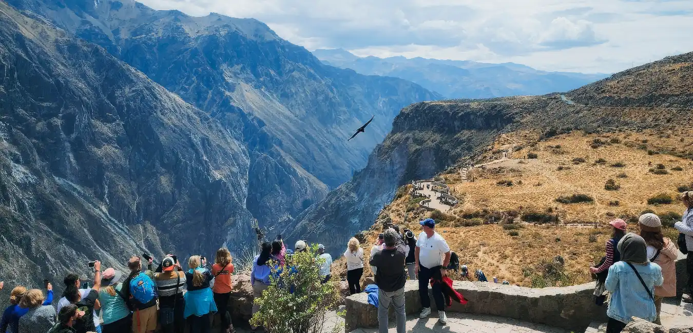 Tourists observing Andean condors soaring above Colca Canyon from the famous Cruz del Condor viewpoint 
