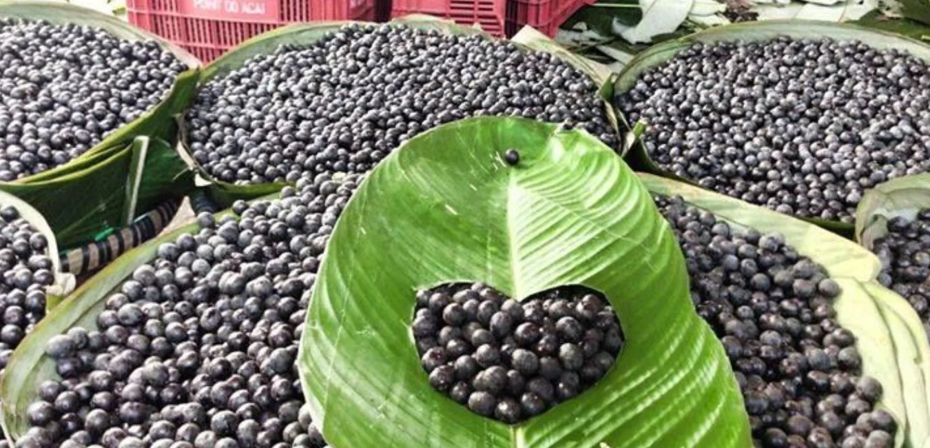 açaí