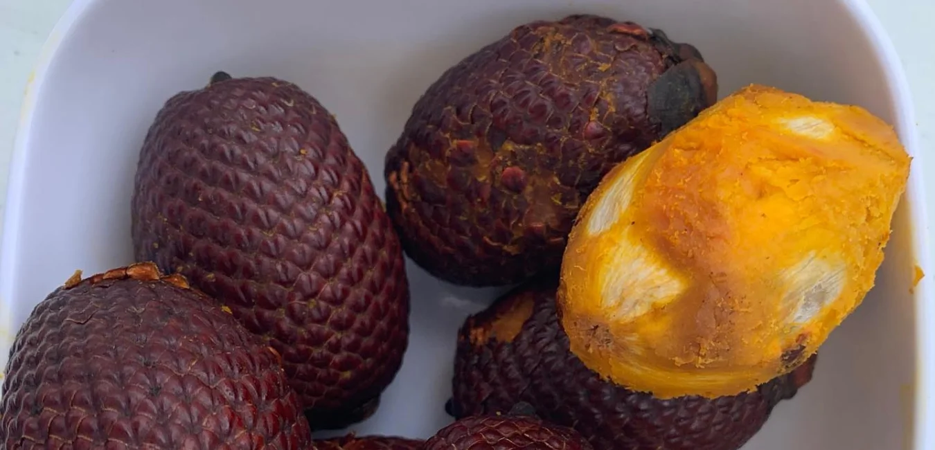 Aguaje de la Selva Peruana