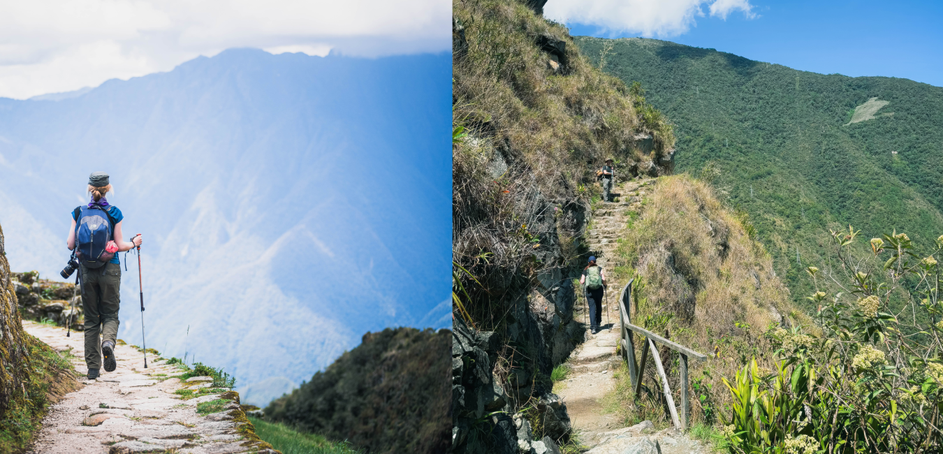 Original Inca stone steps surrounded by lush cloud forest along the Classic Inca TraiL