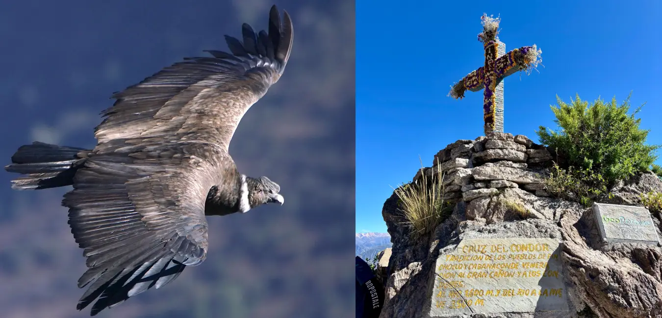 Cruz del condor desde donde se obserba el vuelo del condor en el cañon del Colca