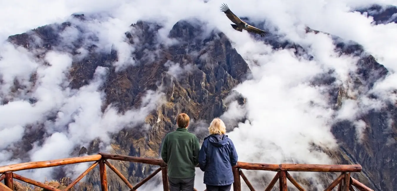 International tourists enjoying the flight of the Andean condor in Colca Canyon