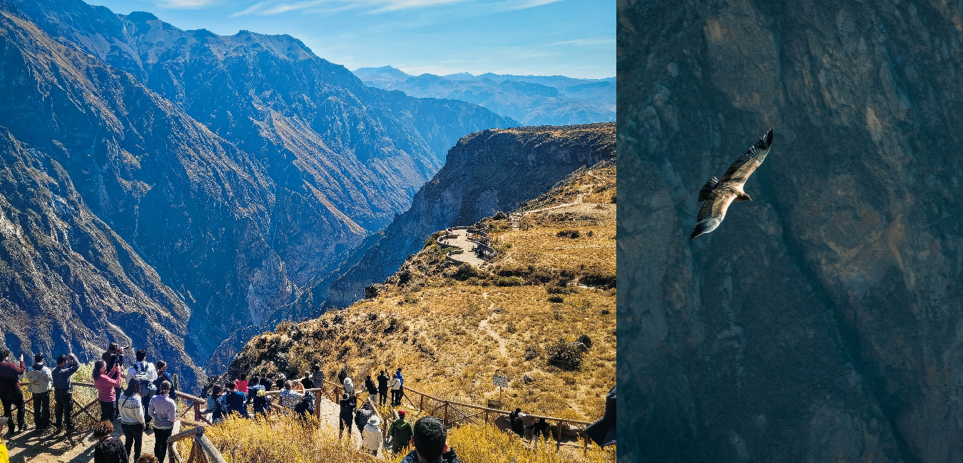Panoramic view of Colca Canyon 