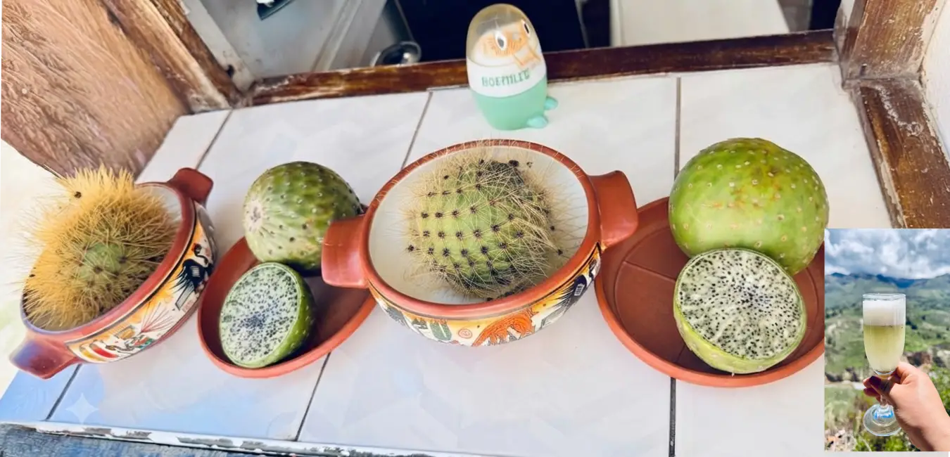 Enjoy the traditional Sangalle Sour cocktail as part of your Colca Canyon experience.