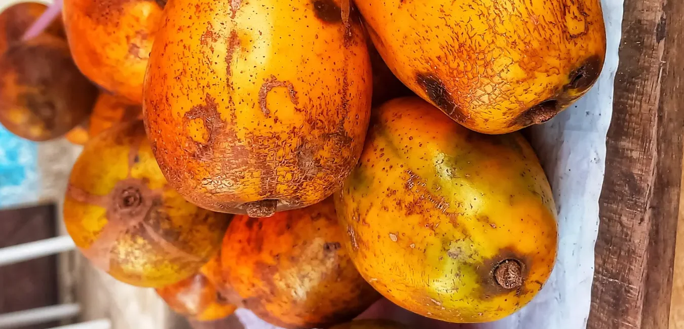 fruta Taperibá