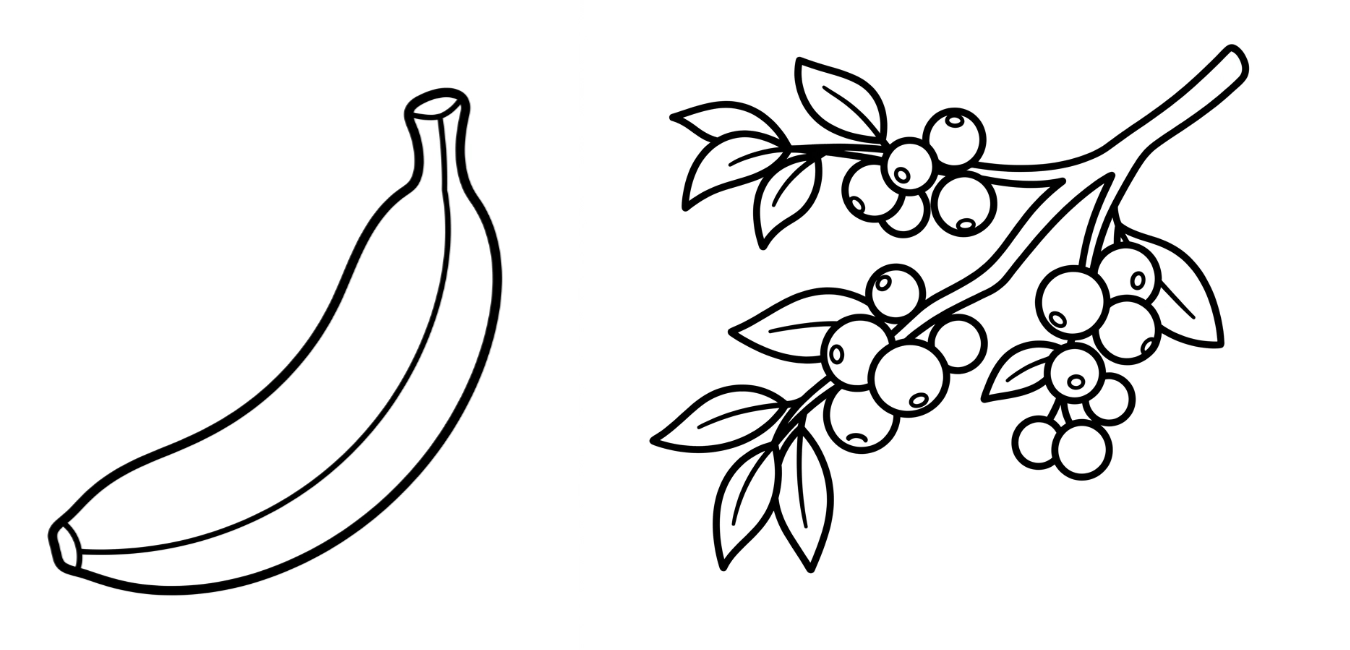 Frutas de la selva para dibujar