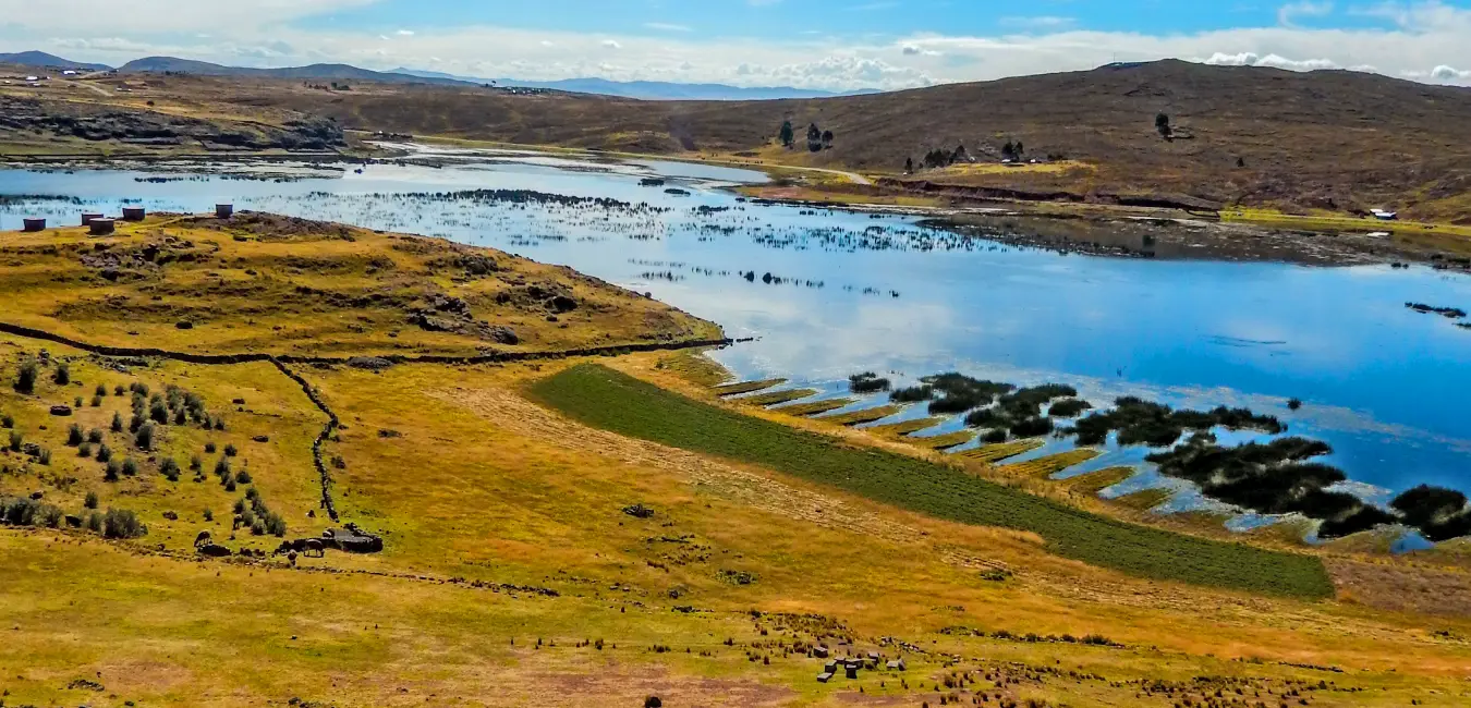 Agriculture along the shores of lake Titicaca