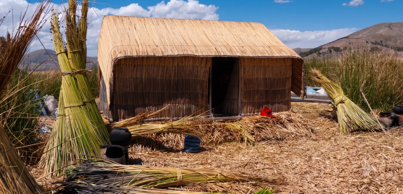 Totora reeds used to cover the island's surface until the ground becomes firm and stable