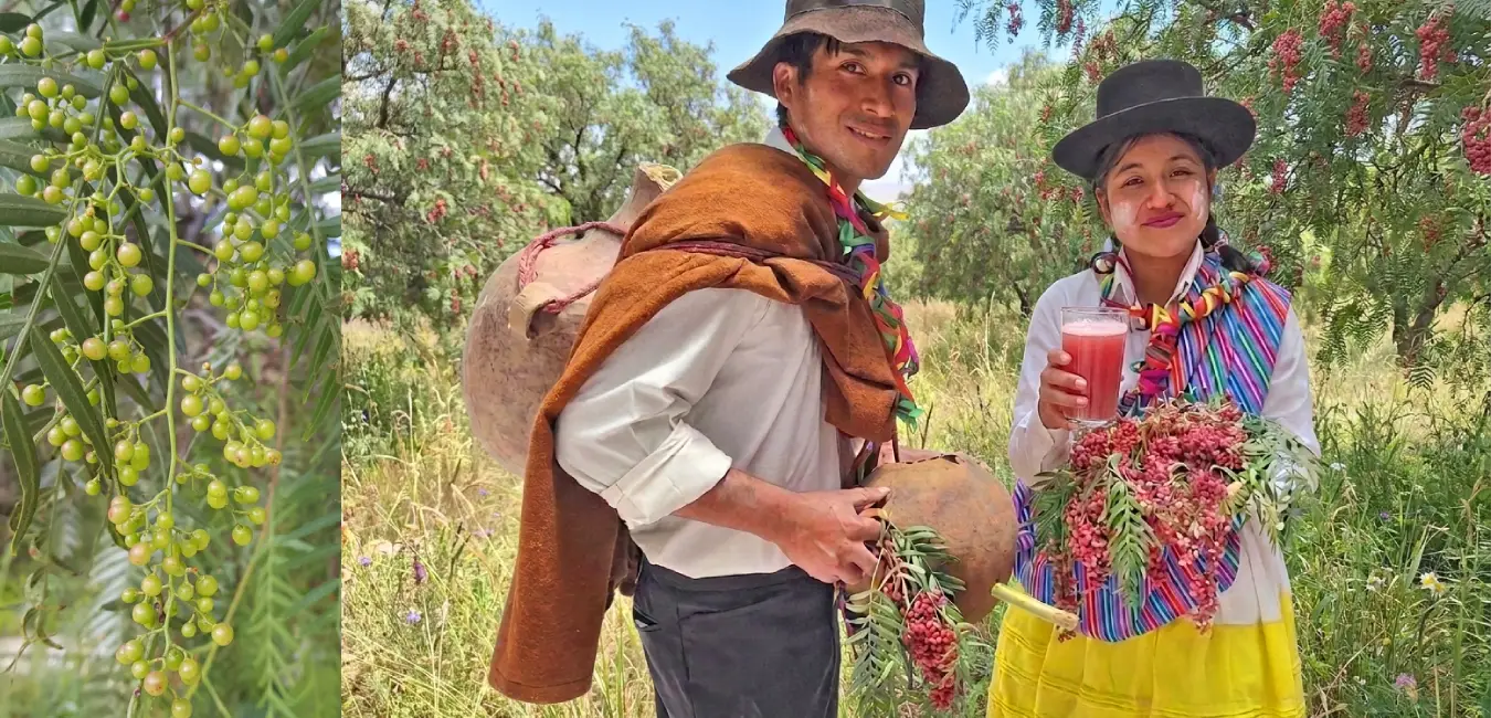 Chicha de molle