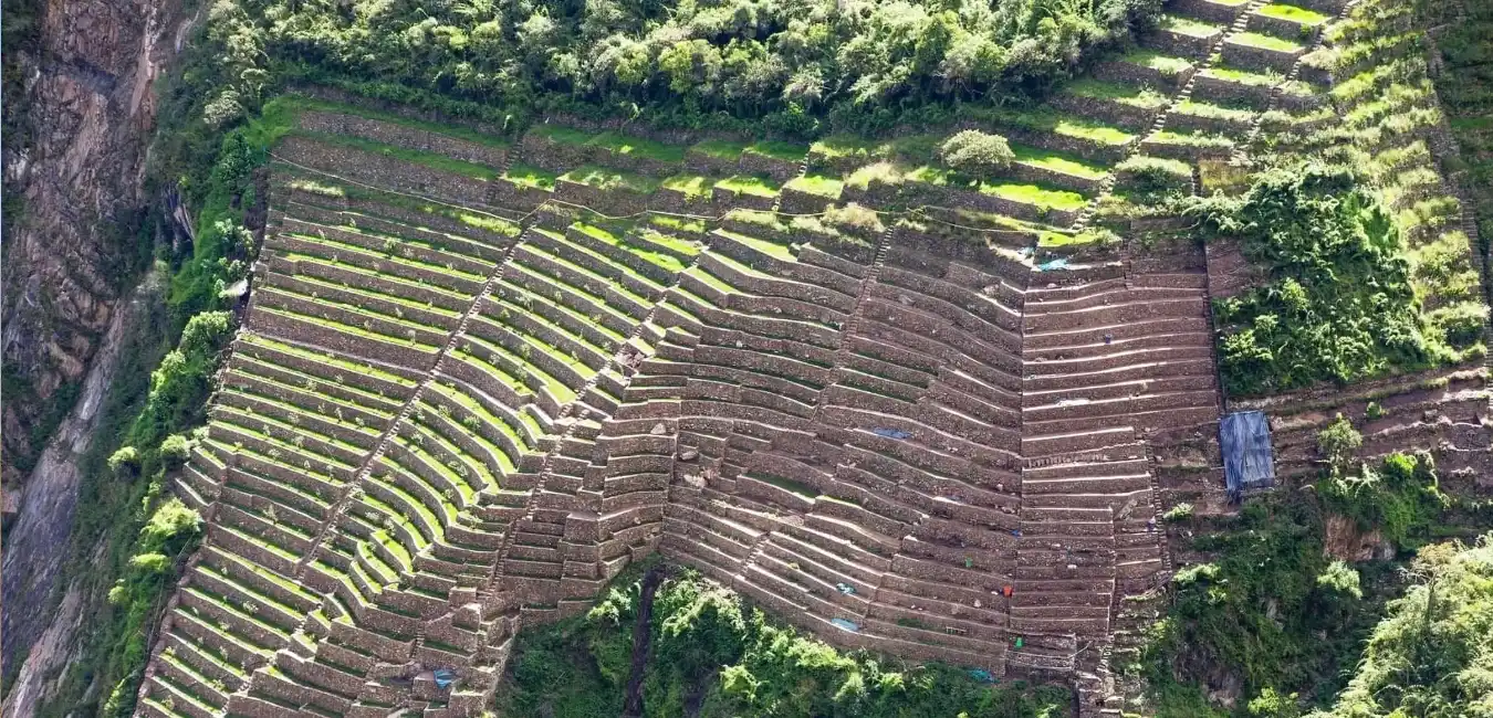 Inca terraces and archaeological structures in the Pajchayoq sector of Choquequirao 
