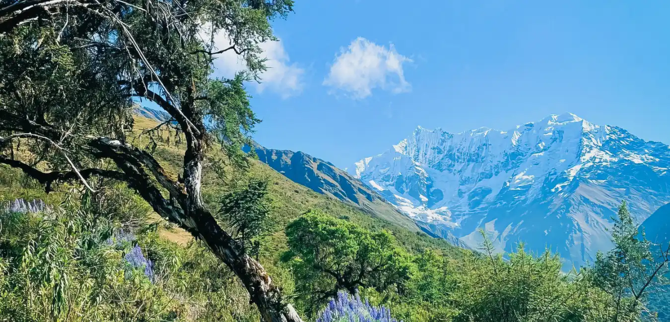 Wide panoramic landscape of Salkantay Mountain 