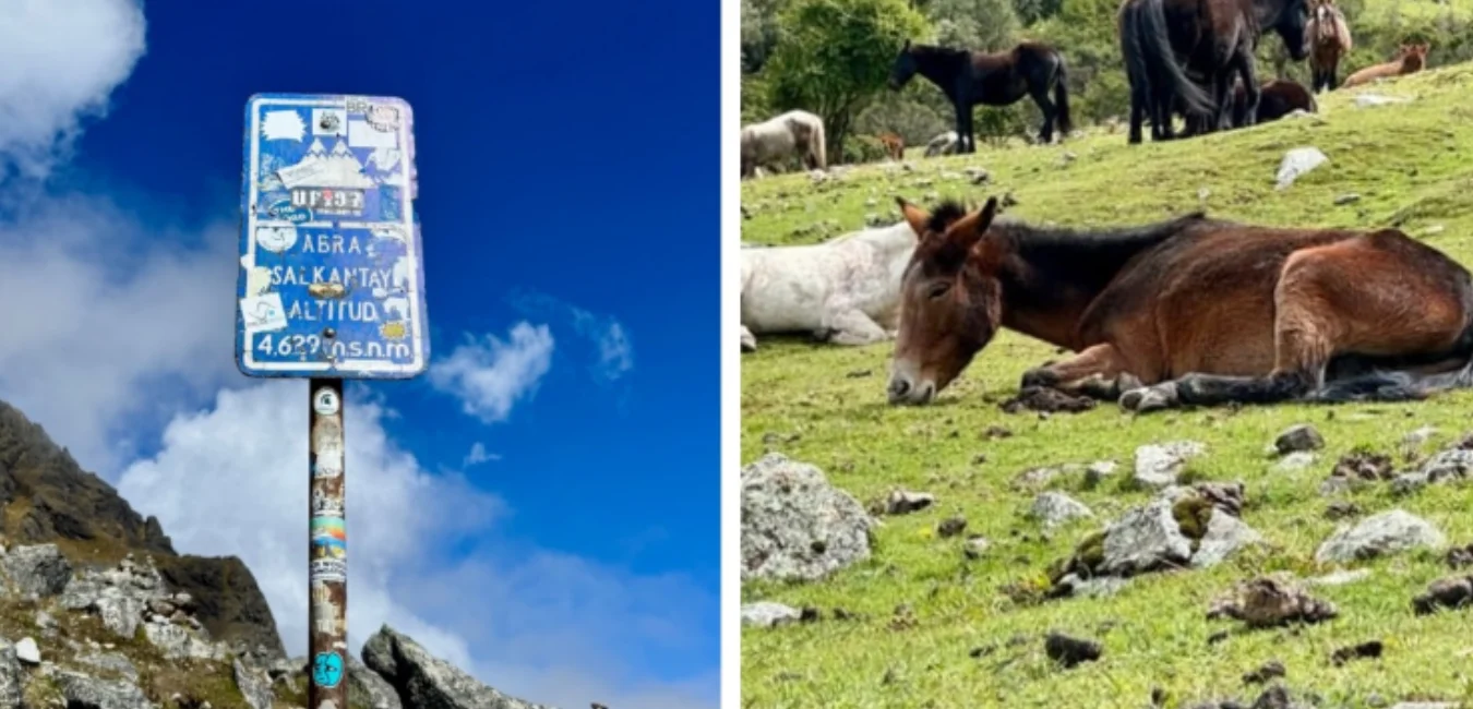 Signs and horses on the Humantay Lagoon hike