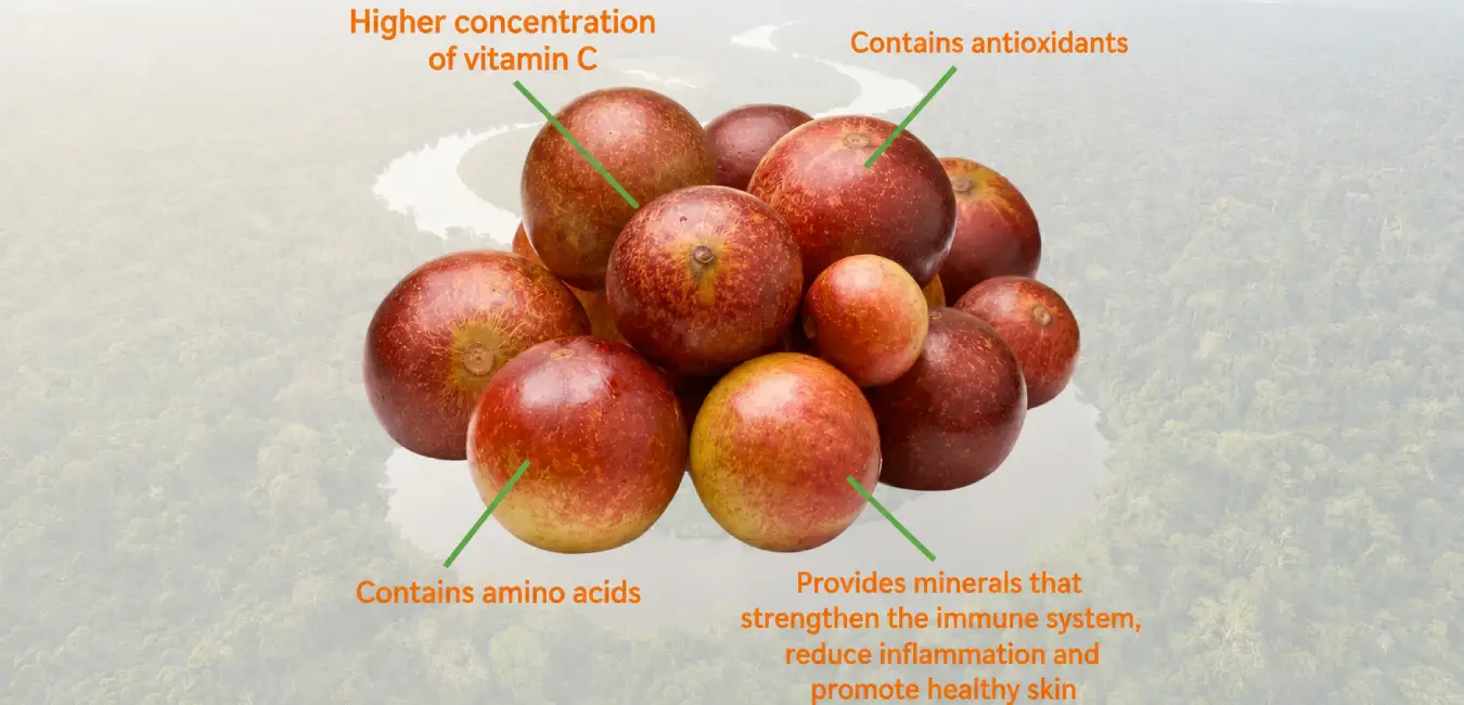  Camu camu exotic fruit from Peru