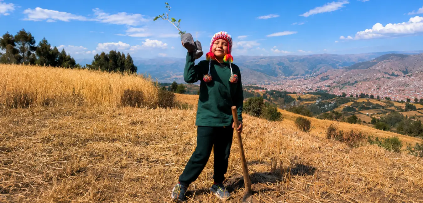 Start of forestation in Llaullipata Cusco by Responsible Trekking