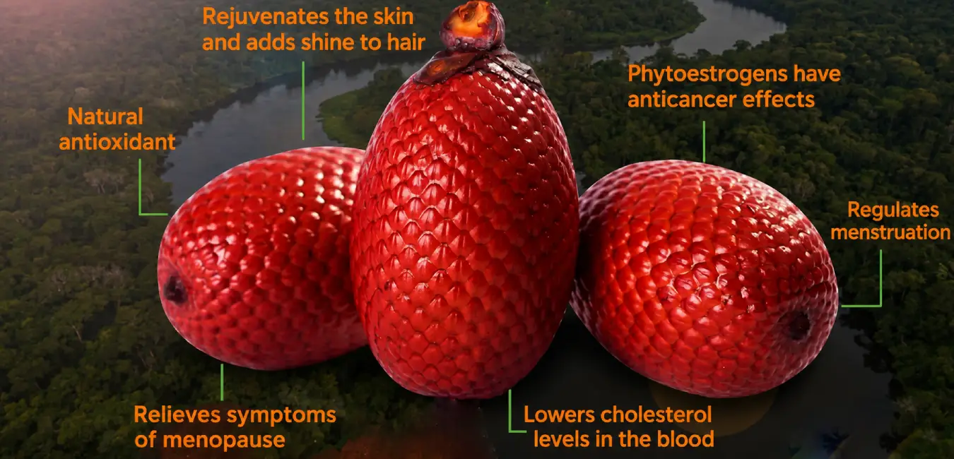Characteristics of the aguaje fruit