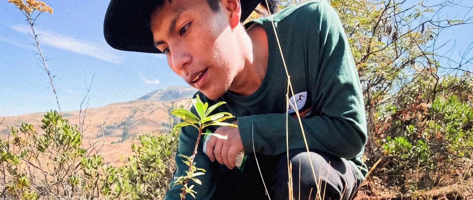 Creating Positive Impact, Responsible Trekking