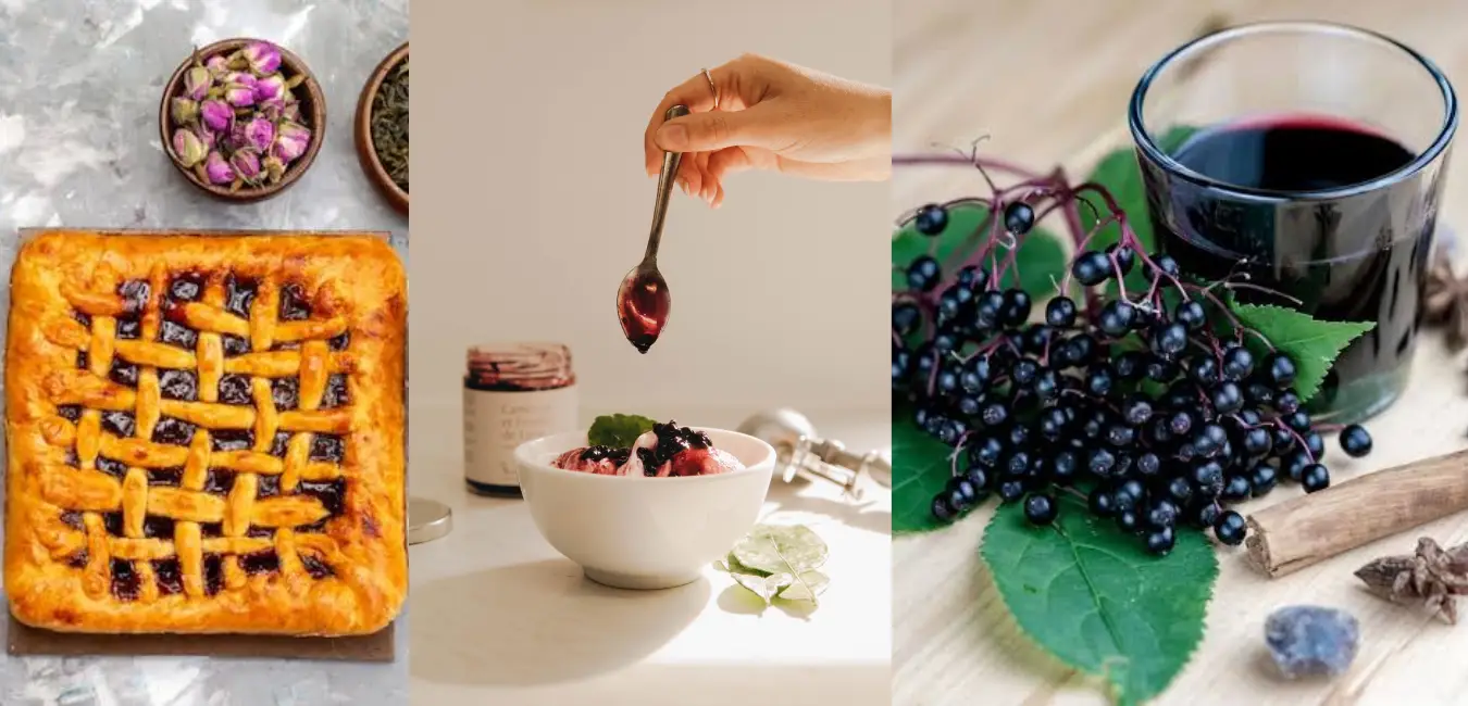 black elderberry derivatives