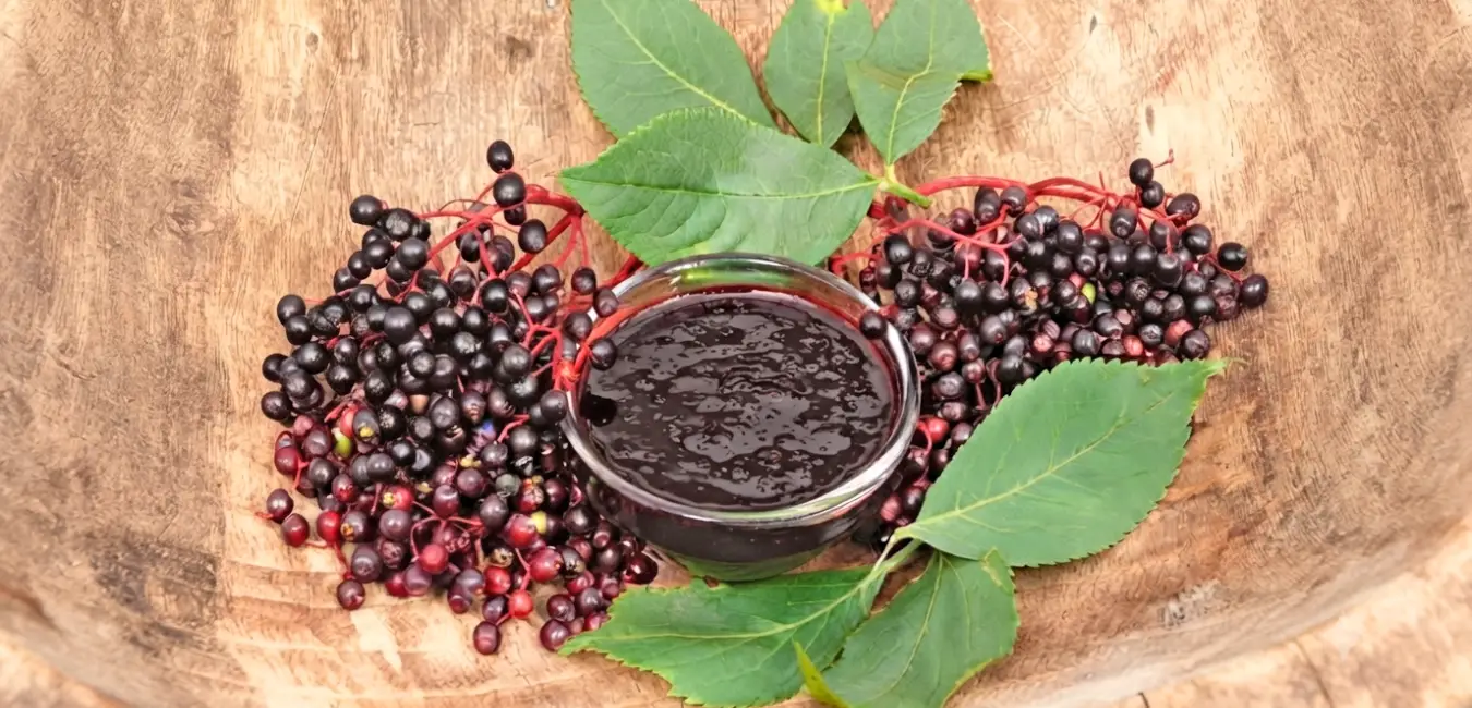 Black elderberry jam