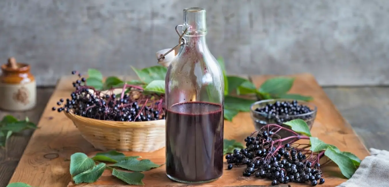 elderberry syrup