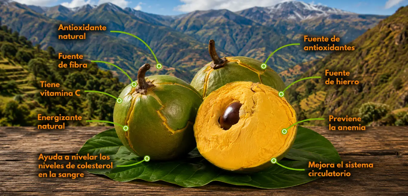 Lugma - fruta exótica del Perú