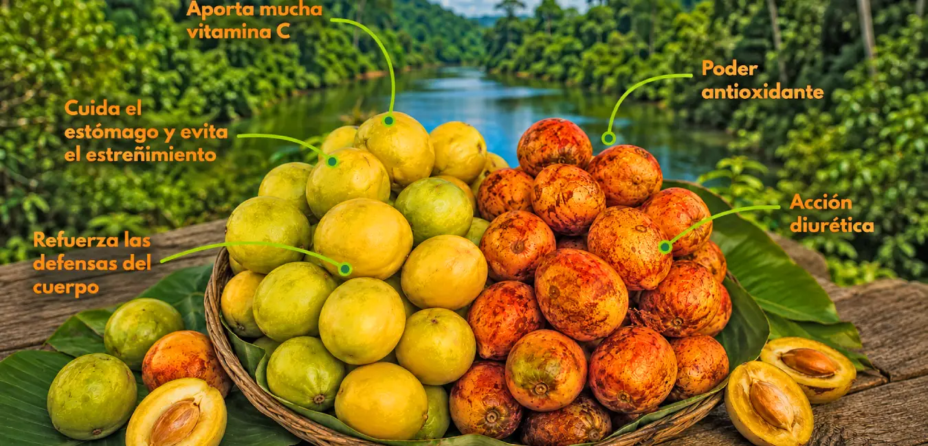 Taperibá, fruta exótica del Perú