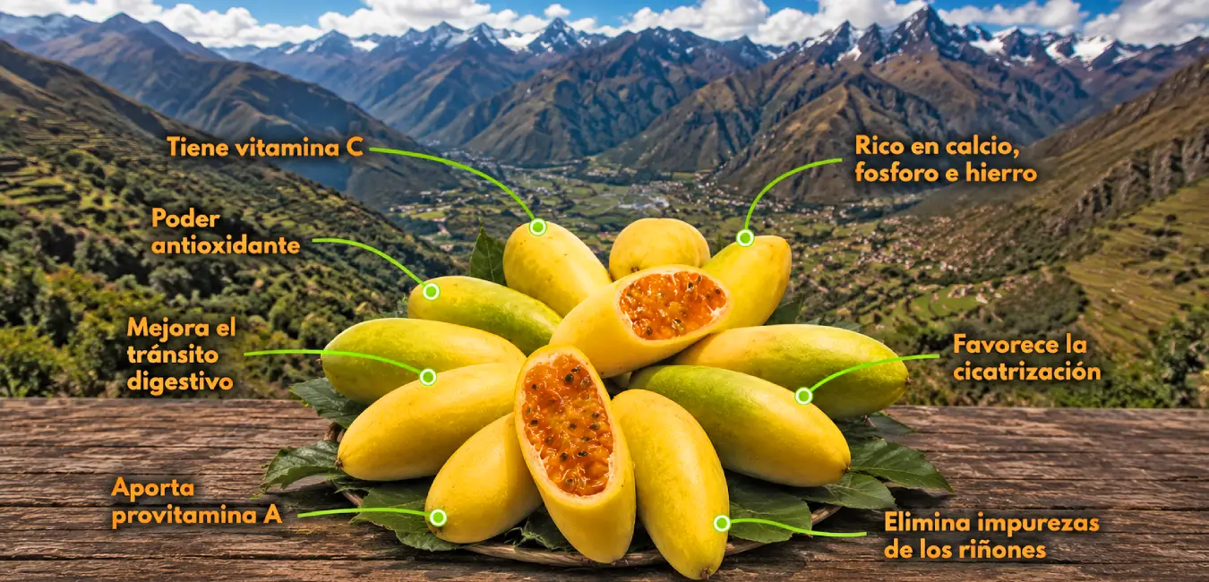 Tumbo - Frutas exóticas del Perú