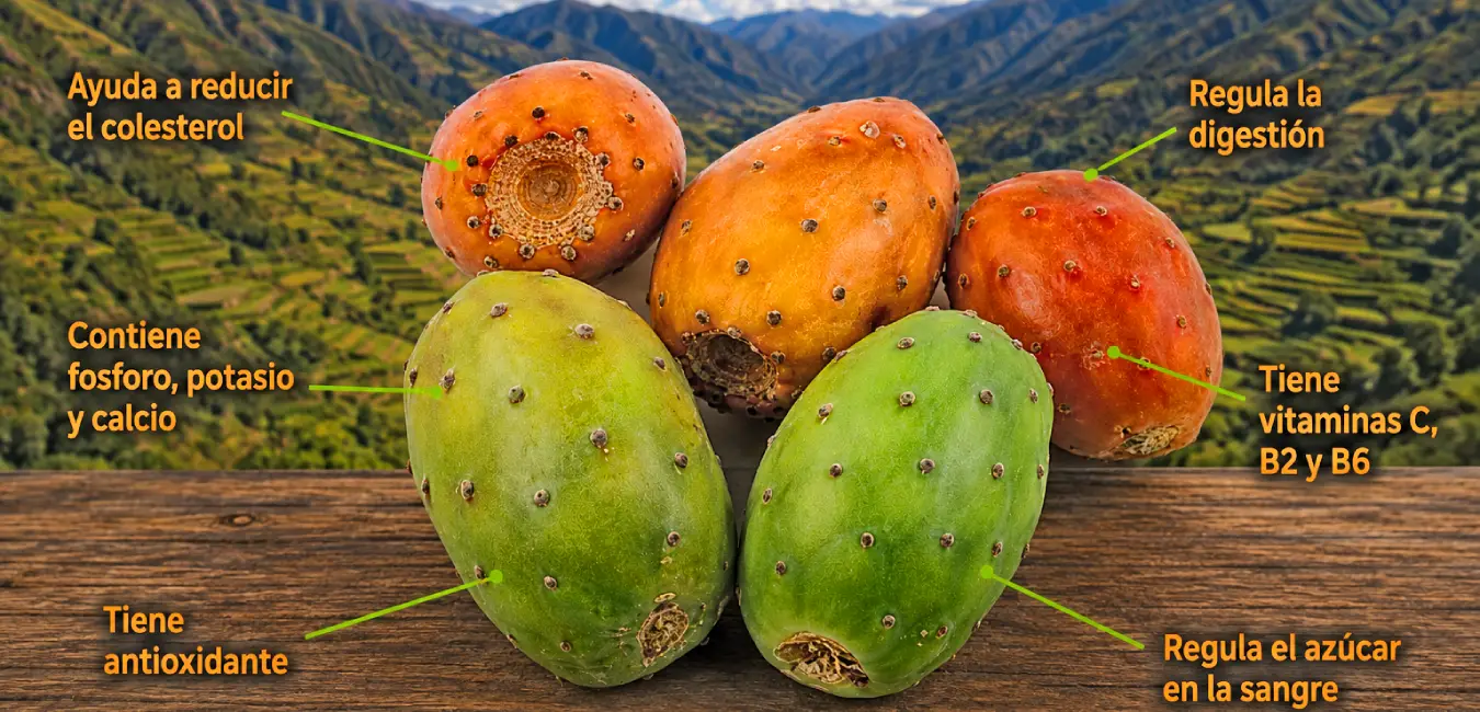 Tuna, fruta exótica del Perú