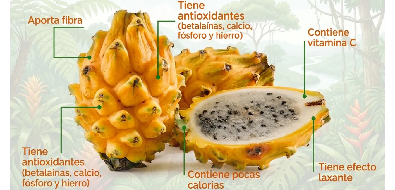 Pitahaya - fruta exótica de Perú