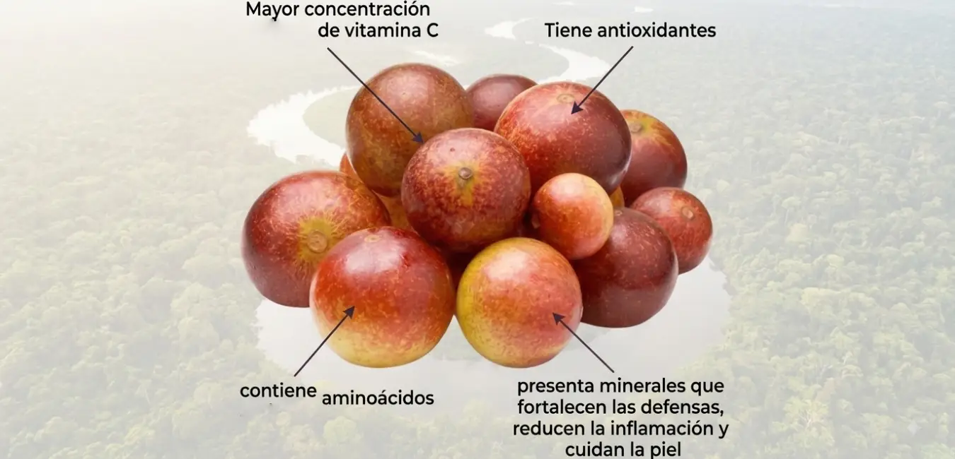 Camu camu - fruta exótica del Perú