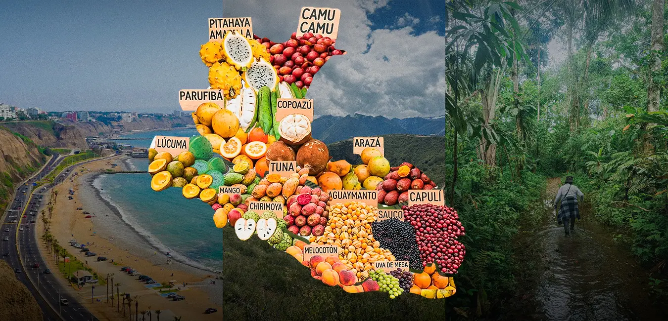 Frutas exóticas del Perú