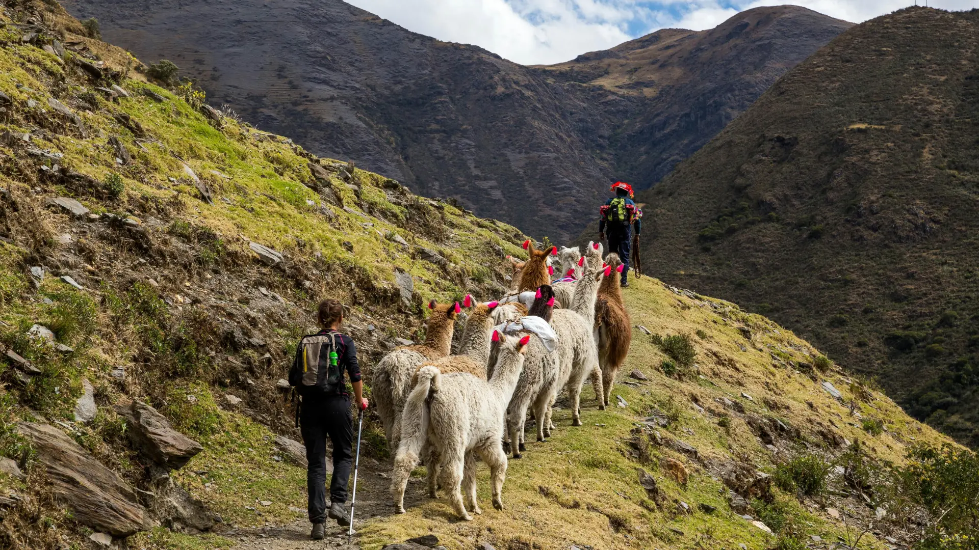Trek Lares