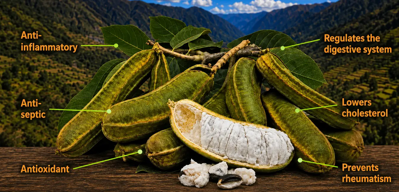 Benefits of Pacay