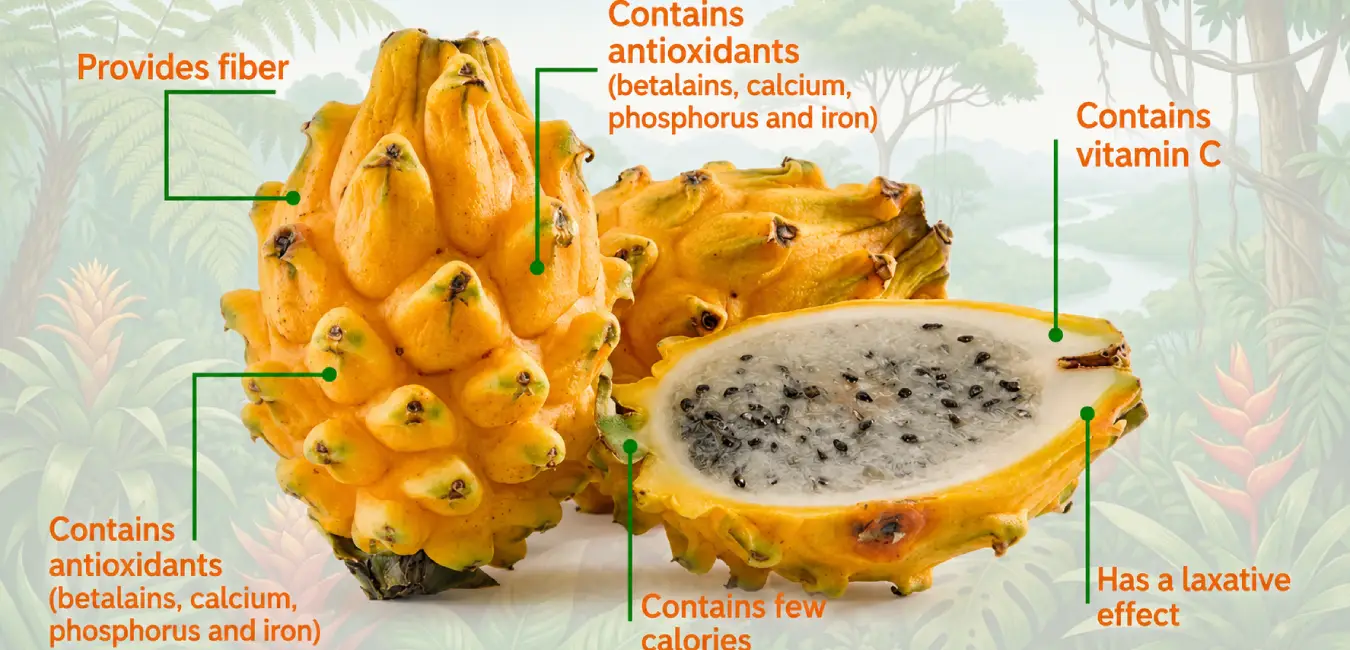 Benefits of the exotic pitahaya fruit