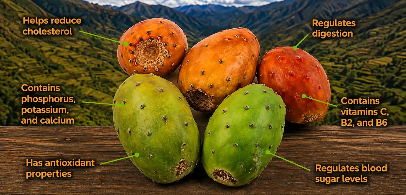 Nutritional benefits of the prickly pear