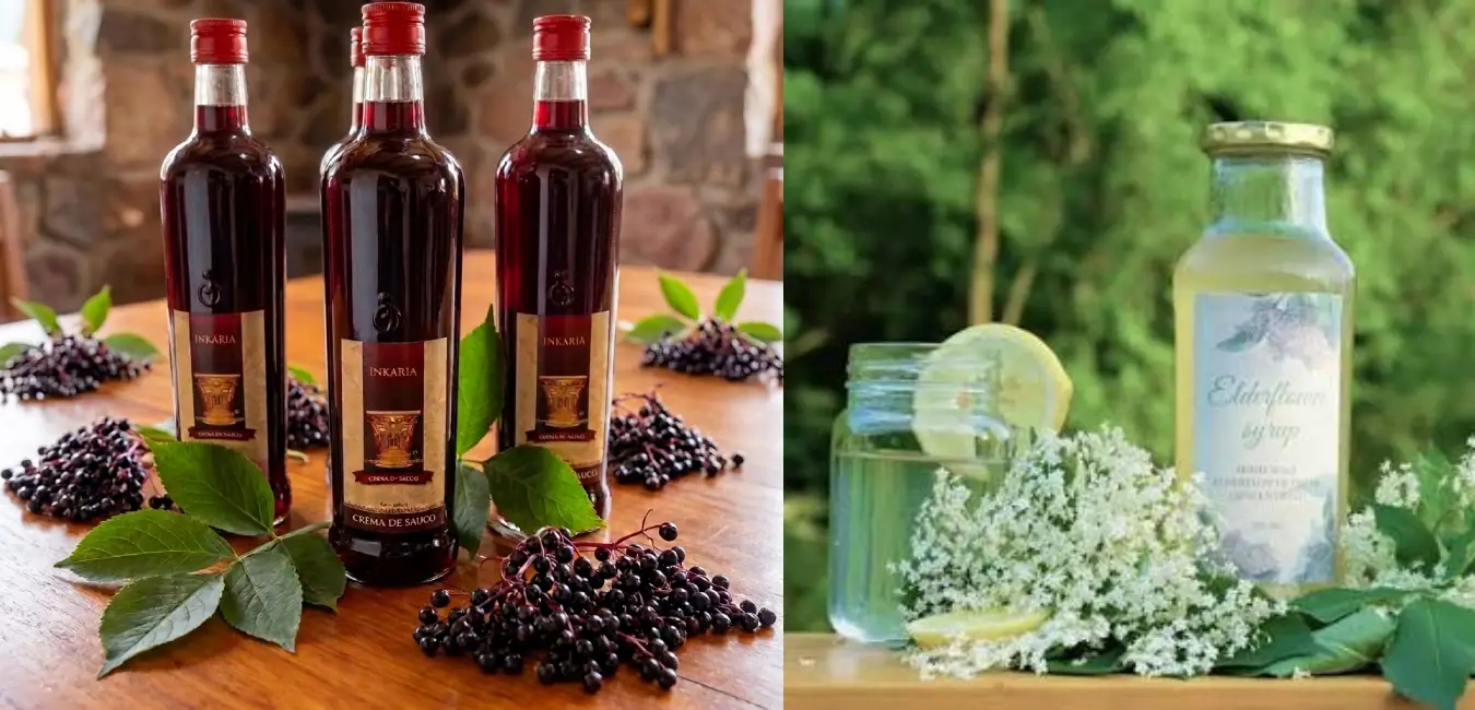 Bebidas del fruto negro del saúco y flor