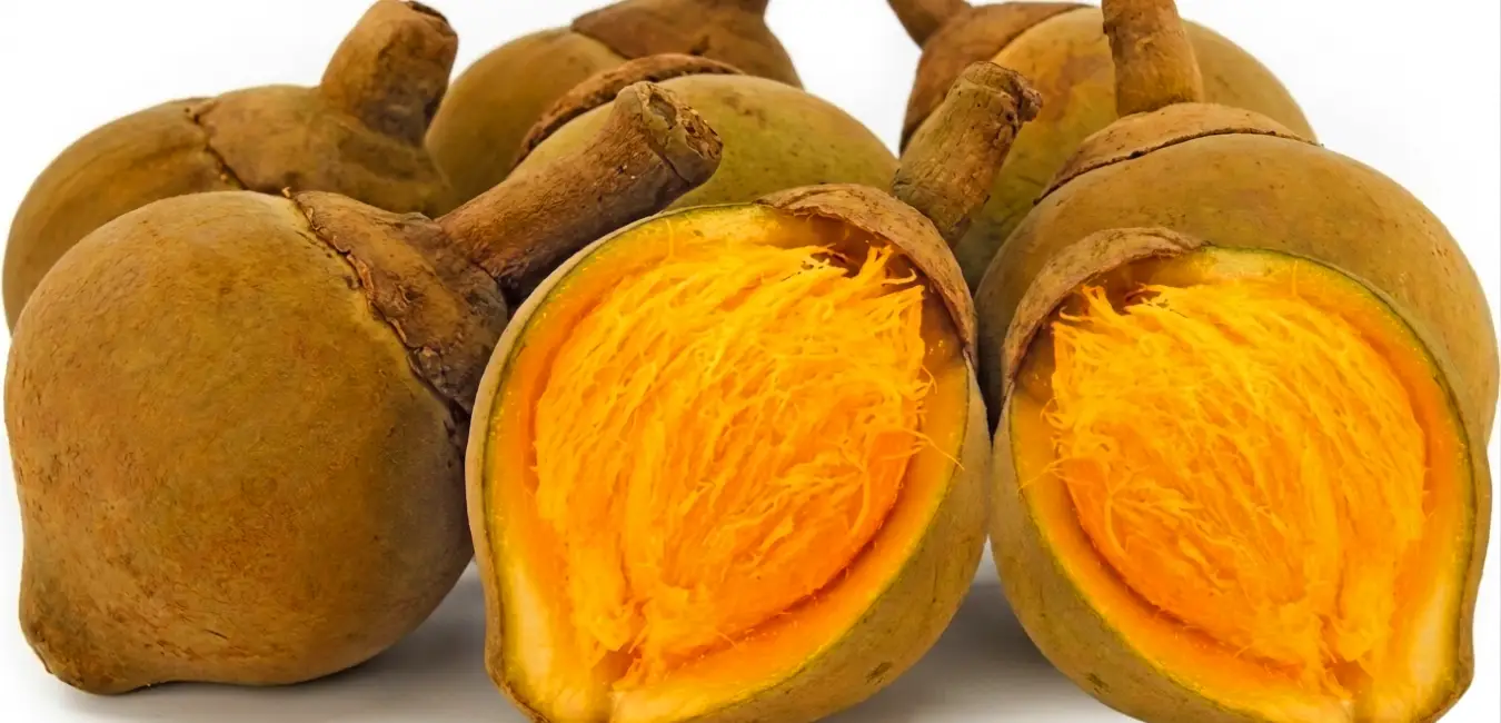 Zapote, an exotic fruit from Peru.