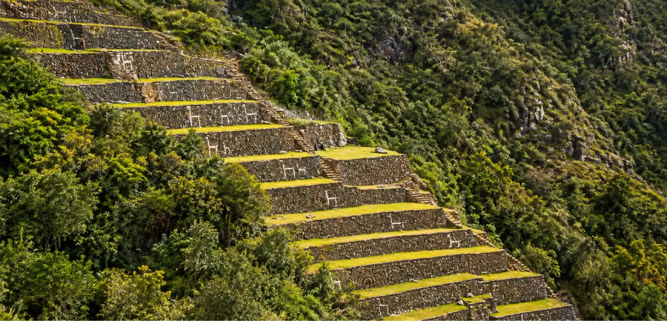 Andenes de las LLamitas en Choquequirao