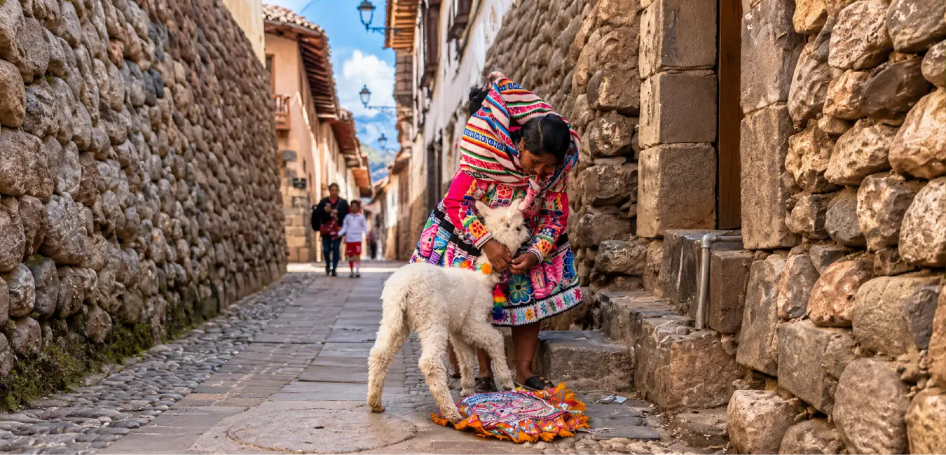 Llamas on the streets of Cusco