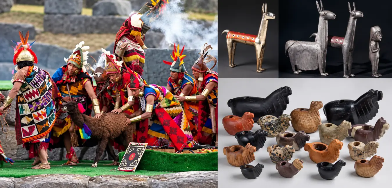 Llama used as an offering during the Inca era.