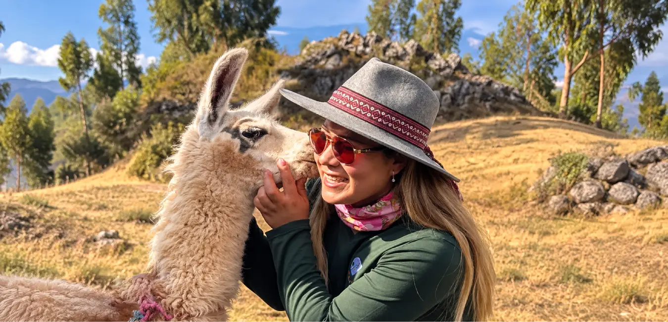 Llama en Cusco