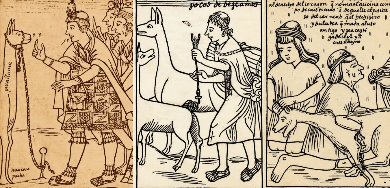 Llamas ne la época Inca