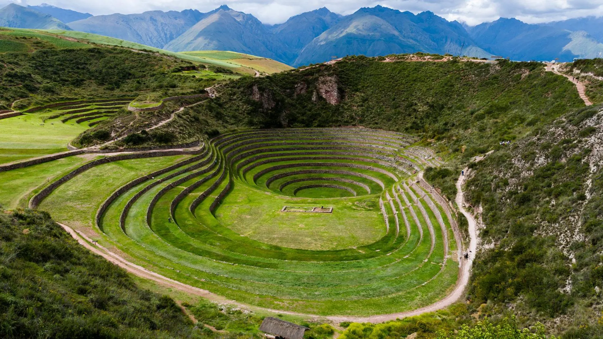 moray