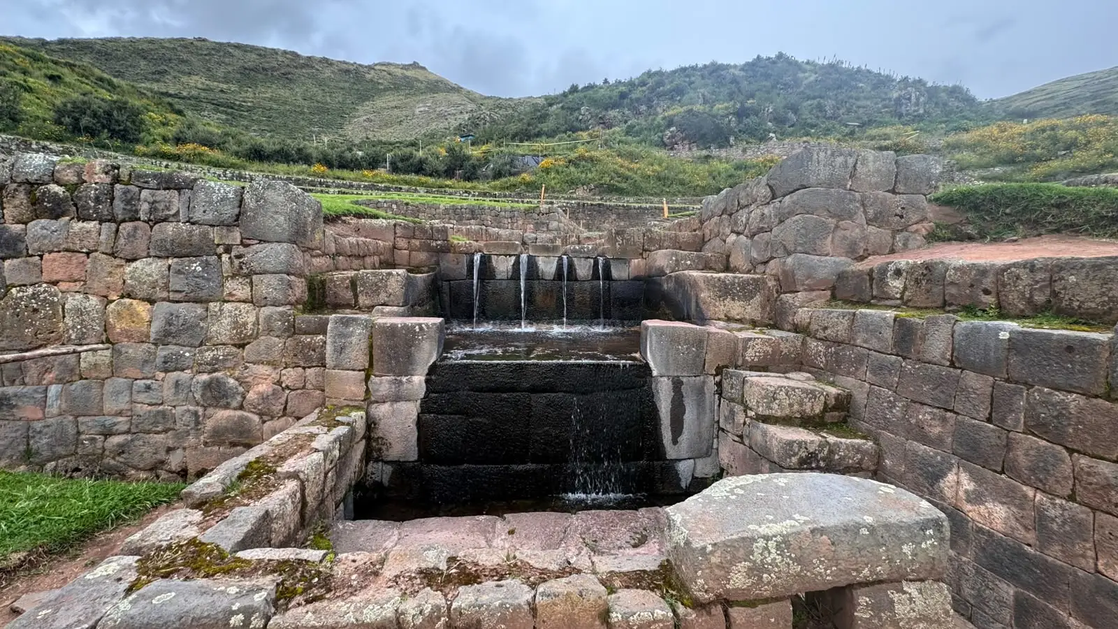 paccha tipon in cusco