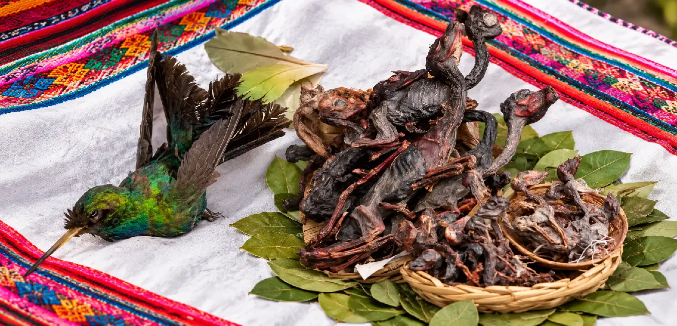 Fetos en pago a la tierra