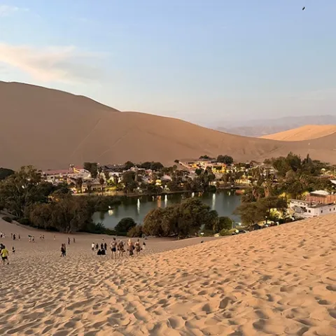 Ica, Nazca and Paracas tours featuring Huacachina and the Nazca Lines