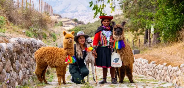 A local Andean woman walks with llamas along the Llama Trail in Cusco, Peru, surrounded by the beautiful Andean mountain landscape
